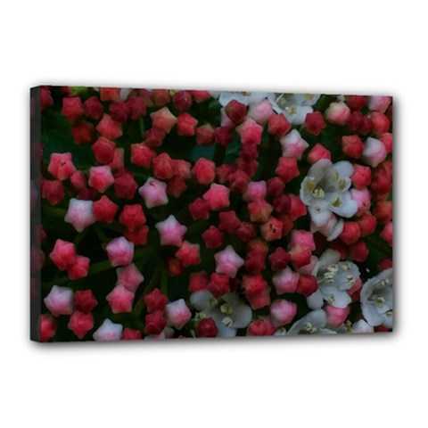 Floral Stars Canvas 18  X 12  (stretched) by okhismakingart