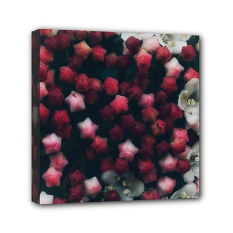 Floral Stars -dark Red Mini Canvas 6  X 6  (stretched) by okhismakingart