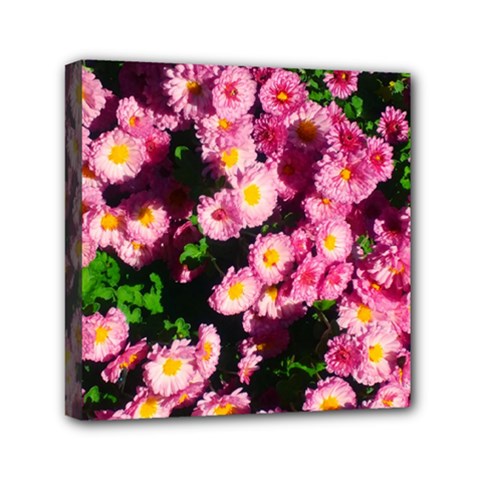 Pink Flower Bushes Mini Canvas 6  X 6  (stretched) by okhismakingart