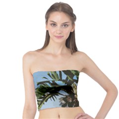 Palm Tree Tube Top by snowwhitegirl