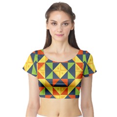 Background Geometric Color Plaid Short Sleeve Crop Top by Mariart