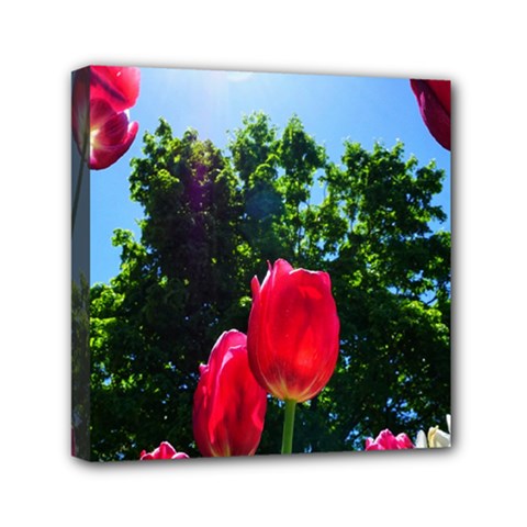 Skyward Tulips Mini Canvas 6  X 6  (stretched) by okhismakingart