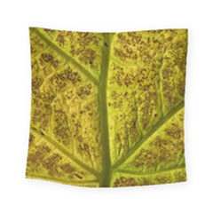 Leaf Structure Texture Background Square Tapestry (small) by Pakrebo