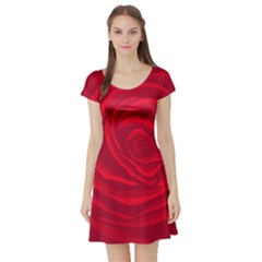 Roses Red Love Short Sleeve Skater Dress by HermanTelo