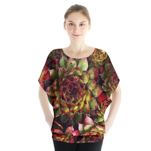 Plant Succulents Succulent Batwing Chiffon Blouse by Pakrebo