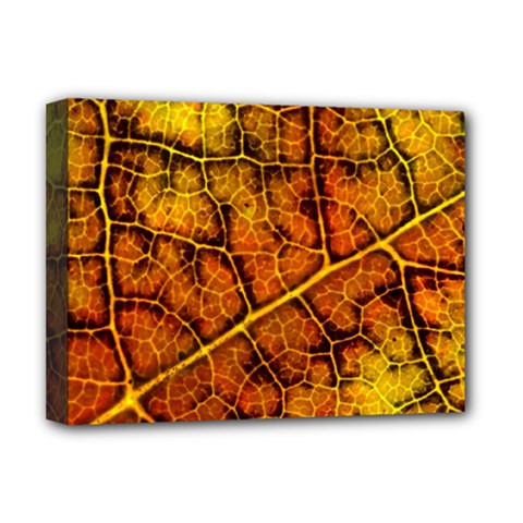 Autumn Leaves Forest Fall Color Deluxe Canvas 16  X 12  (stretched)  by Pakrebo