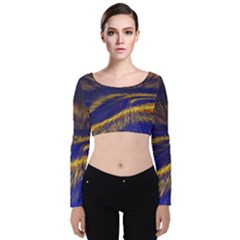 Bomb Background Pattern Explode Velvet Long Sleeve Crop Top by Mariart