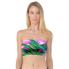 Tropical Greens Monstera Summer Bandeau Top by Simbadda