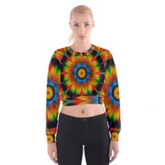 Abstract Digital Art Artwork Cropped Sweatshirt by Pakrebo