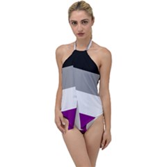 Asexual Pride Flag Lgbtq Go With The Flow One Piece Swimsuit by lgbtnation