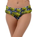 Fish Frill Bikini Bottom View1