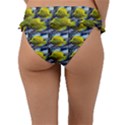 Fish Frill Bikini Bottom View2