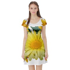 Daisies Flowers Yellow Arrangement Short Sleeve Skater Dress by Pakrebo