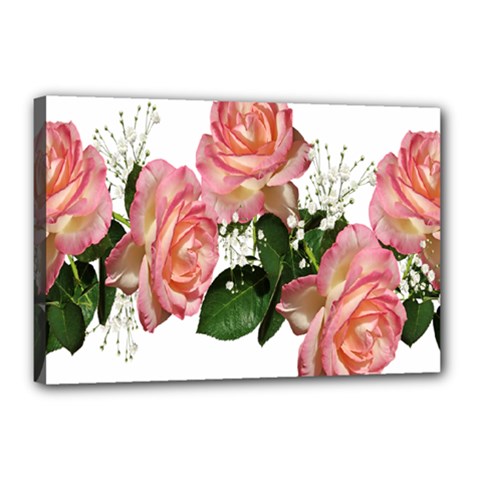 Roses Pink Leaves Flowers Perfume Canvas 18  X 12  (stretched) by Simbadda