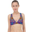 Fern  Mandala  In Strawberry Decorative Style Classic Banded Bikini Top View1