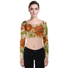 Poppy 2507631 960 720 Velvet Long Sleeve Crop Top by vintage2030