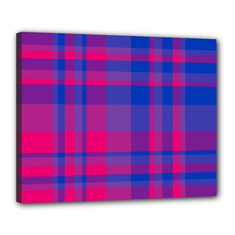 Bisexual Plaid Canvas 20  X 16  (stretched) by NanaLeonti