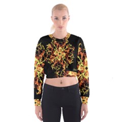 Ablaze Cropped Sweatshirt by litana