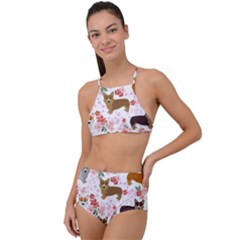 Corgis Corgi Pattern High Waist Tankini Set by Sapixe