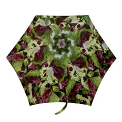 Salad Lettuce Vegetable Mini Folding Umbrellas by Sapixe