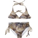 Close Up Mushroom Abstract Kids  Classic Bikini Set View1