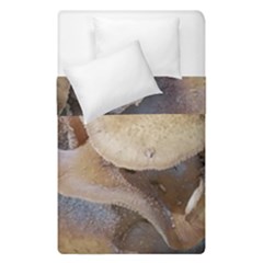 Close Up Mushroom Abstract Duvet Cover Double Side (single Size) by Fractalsandkaleidoscopes