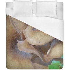 Close Up Mushroom Abstract Duvet Cover (california King Size) by Fractalsandkaleidoscopes