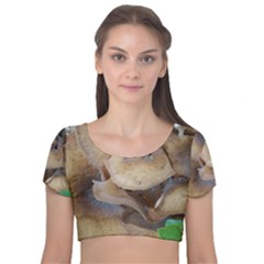 Close Up Mushroom Abstract Velvet Short Sleeve Crop Top  by Fractalsandkaleidoscopes