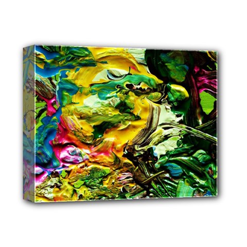 Alice Walk 1 1 Deluxe Canvas 14  X 11  (stretched) by bestdesignintheworld