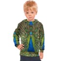 Peacock Feathers Bird Nature Kids  Hooded Pullover View1