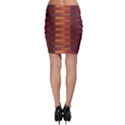 Zappwaits Zz Bodycon Skirt View2