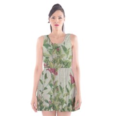 Botanical Vintage Style Motif Artwork 2 Scoop Neck Skater Dress by dflcprintsclothing