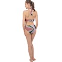 Wrinkle In Time Halter Side Cut Swimsuit View2