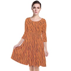 Animal Skin - Lion And Orange Skinnes Animals - Savannah And Africa Quarter Sleeve Waist Band Dress by DinzDas