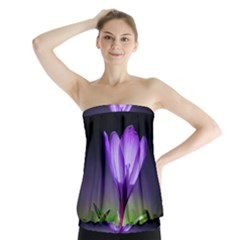 Floral Nature Strapless Top by Sparkle