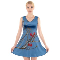 Santa Rita Flower Photo001 V-neck Sleeveless Dress by dflcprintsclothing