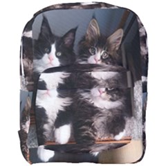 Cats Brothers Full Print Backpack by Sparkle