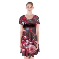 Red Floral Short Sleeve V-neck Flare Dress by Sparkle