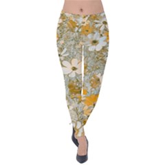 Cosmos Flowers Sepia Color Velvet Leggings by DinkovaArt