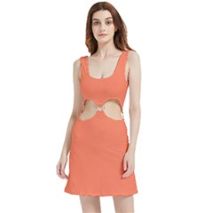 Appreciating Apricot Velvet Cutout Dress by Janetaudreywilson