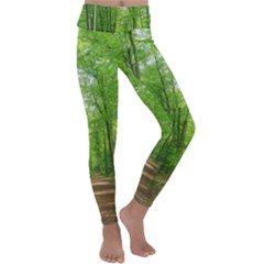 In The Forest The Fullness Of Spring, Green, Kids  Lightweight Velour Classic Yoga Leggings by MartinsMysteriousPhotographerShop