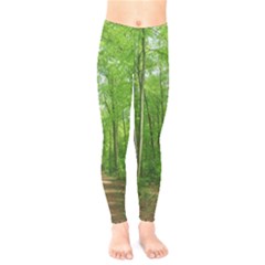 In The Forest The Fullness Of Spring, Green, Kids  Leggings by MartinsMysteriousPhotographerShop