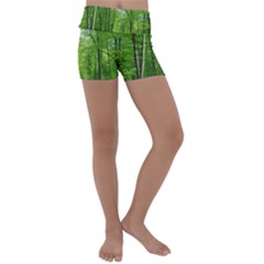 In The Forest The Fullness Of Spring, Green, Kids  Lightweight Velour Yoga Shorts by MartinsMysteriousPhotographerShop