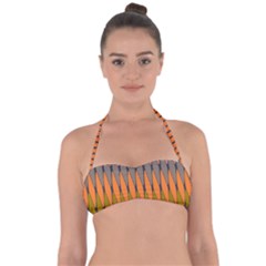 Zappwaits - Your Halter Bandeau Bikini Top by zappwaits