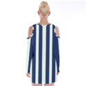 Navy in Vertical Stripes Velvet Long Sleeve Shoulder Cutout Dress View2