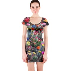 Cactus Short Sleeve Bodycon Dress by Sparkle