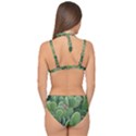 Green Cactus Double Strap Halter Bikini Set View2