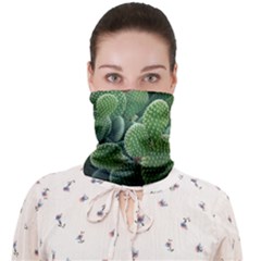 Green Cactus Face Covering Bandana (adult) by Sparkle