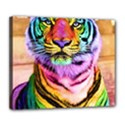 Rainbowtiger Deluxe Canvas 24  x 20  (Stretched) View1