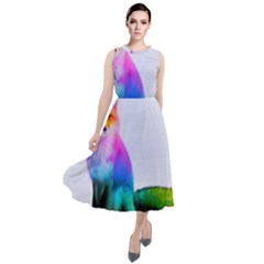 Rainbowfox Round Neck Boho Dress by Sparkle